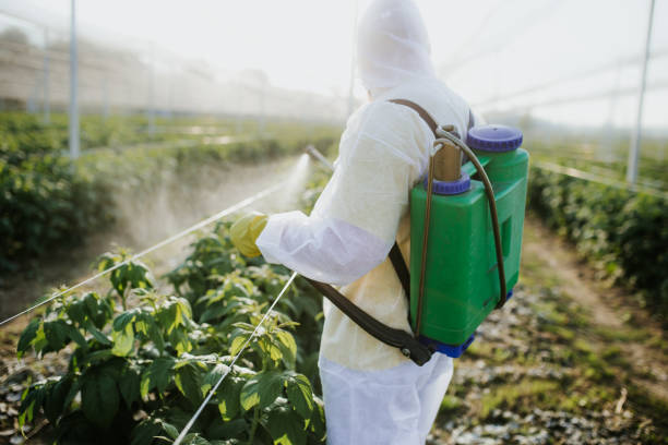  Clearwater, FL Pest Control Pros